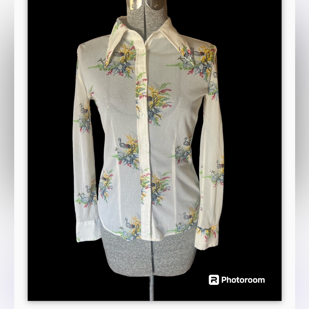 Amazing 1970s dagger collar sheer shirt